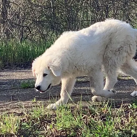 Vakantiehuis Casale Sofia E Mariagiulia Alessano
