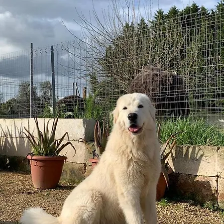 Vakantiehuis Casale Sofia E Mariagiulia