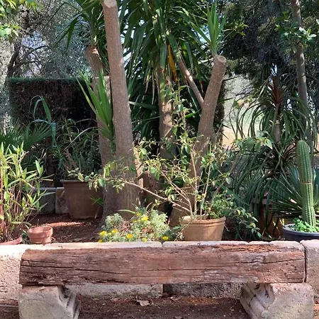 Casale Sofia E Mariagiulia Alessano