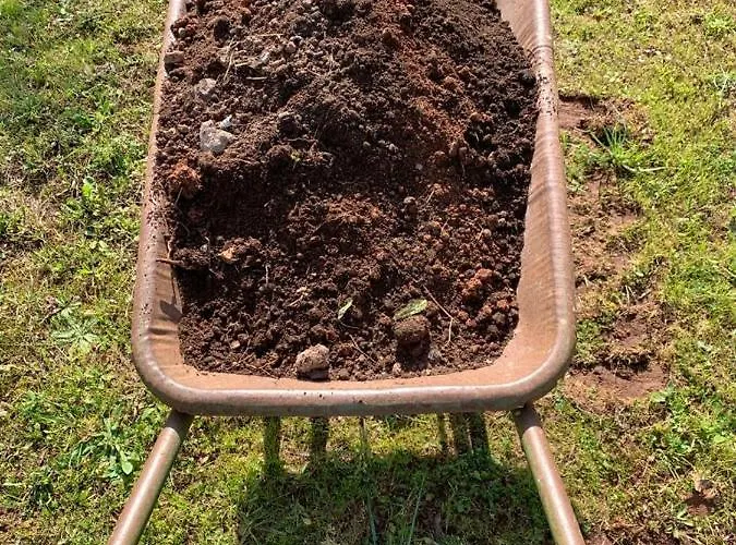 Casale Sofia E Mariagiulia Holiday home Alessano