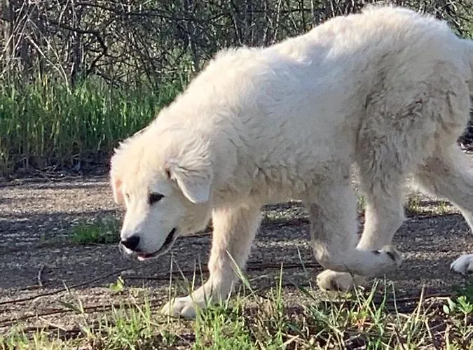 Holiday home Casale Sofia E Mariagiulia Alessano