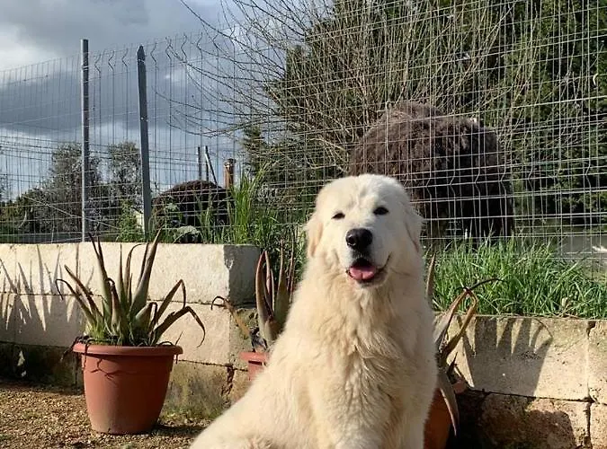 Holiday home Casale Sofia E Mariagiulia