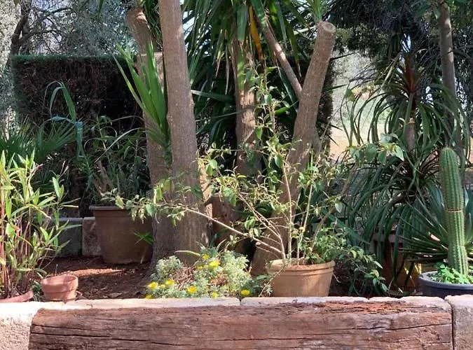 Casale Sofia E Mariagiulia Alessano