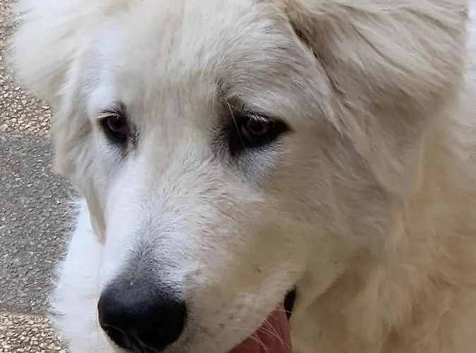 Casale Sofia E Mariagiulia